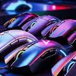 Mouses