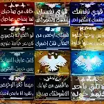 قسم القارمات