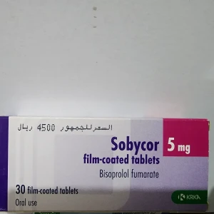  Sobycor
