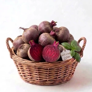 شونذر 