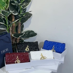 شنطه ديور 