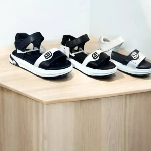 جركز ولادي صيفي