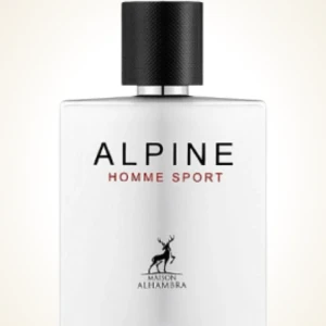  Alpine Homme Sport