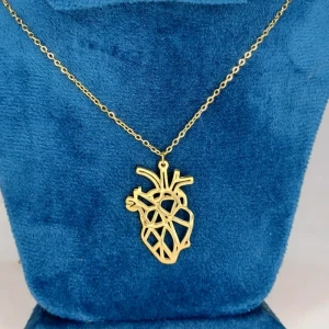 سلاسل قلب