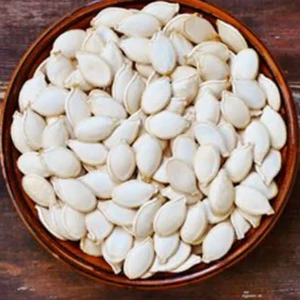 لب ابيض قرع 