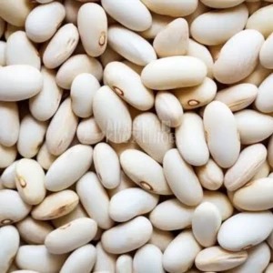 فاصوليا بيضاء 