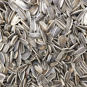 لب سوري مالح 