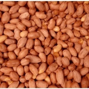 فول سوداني اسواني 