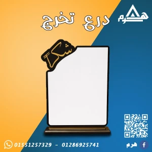 هرم W1 التكلفة حسب تفاصيل العمل