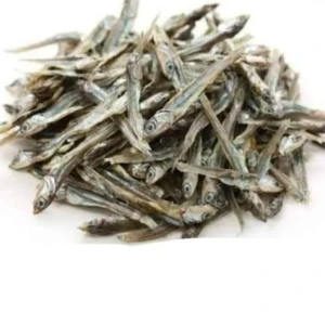 الوزف _ ربع كيلو 