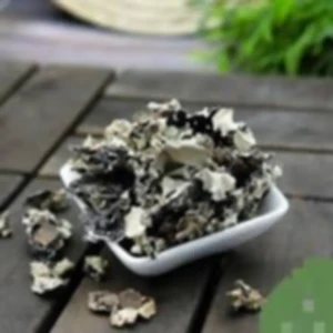 نبته الشيبة ربع كيلو