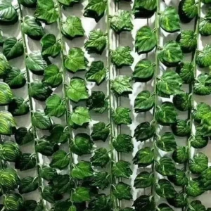 فرع شجر طوله 2.10 سم