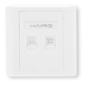 HAING RJ45 Dual Port Faceplate 8.6x8.6cm with PP BAG