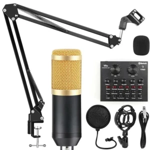 V8S Professional Condenser Microphone for Recording Studio Equipm