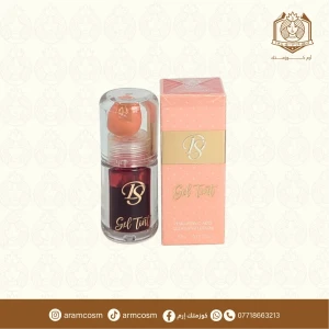 تنت شركة DS (01)