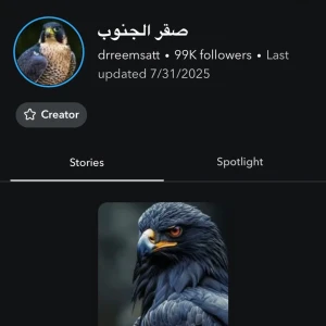 متوفر حساب سناب 99k