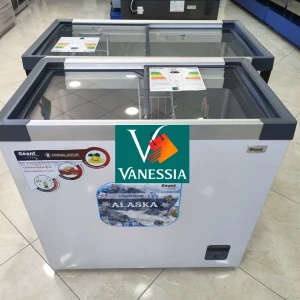 Congélateur Marque Géant Vitré 254L