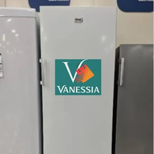 Congélateur Vertical 402L Marque Géant