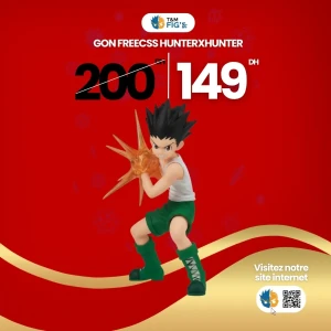 GON FREECSS HUNTERXHUNTER
