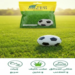ثيل هندي ( 100 جرام )