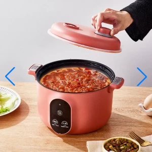 Cuiseur Electrique Multifonctionnel pour la Cuisine 20cm – جهاز ط