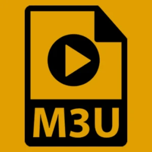  Net Link  file  m3u  1 ans 