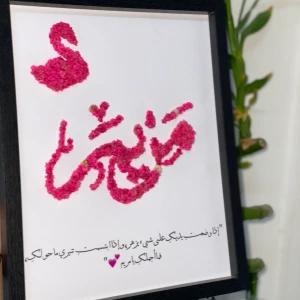 برواز ورد الجبسوفيليا الطبيعي