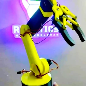Robot arm