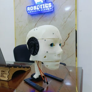head InMoov (3d printing) 