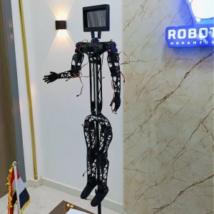   Robex Robot (3d printing) 