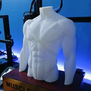 3d model 