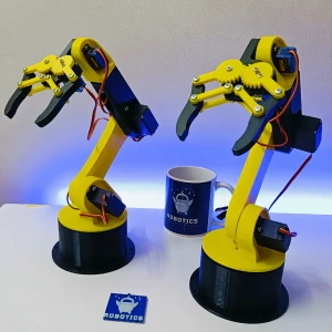Arm robot (Gripper) 