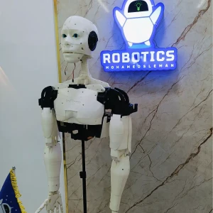inMoov robot (programmer ) 