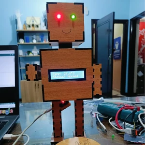 Mini robot model 