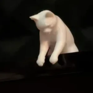  Monitor Buddy Cat