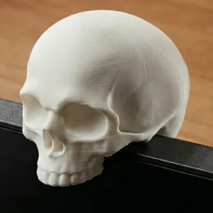 Monitor Skull