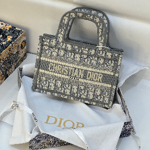 شنطة ديور اوبليك ميني Christian Dior