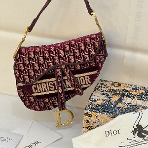 شنطة ديور سادل Christian Dior