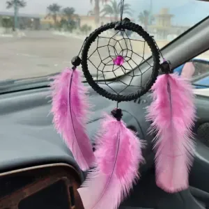 دلاية دريم كاتشر