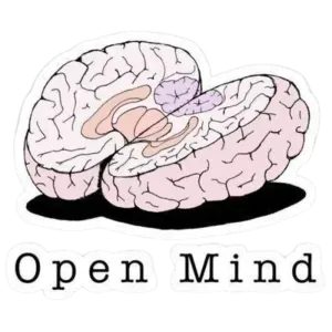 Open mind