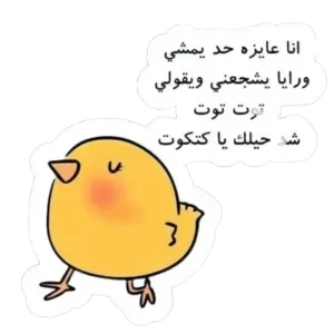 توت توت شد حيلك ي كتكوت