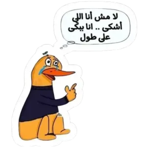 لأ مش أنا اللى أشكى .. أنا ببكى ع طول