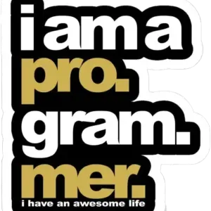 I am programmer