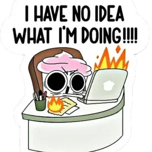 i have no idea what i am doing 