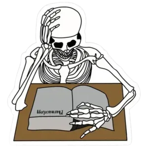 Skeleton studying