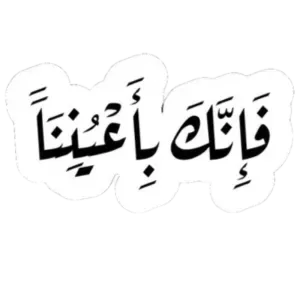 فإنك بأعيننا