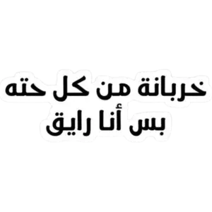 خربانة من كل حتة بس أنا رايق