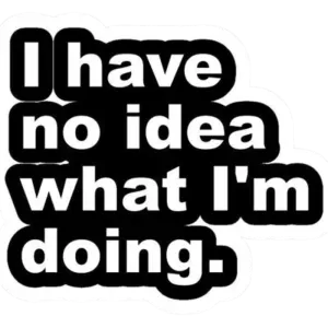 i have no idea what i am doing