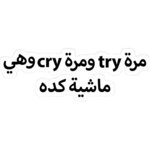 مرة try ومرة cry وآهى ماشية
