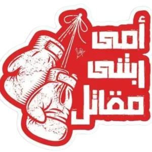 أمى ربتنى مقاتل